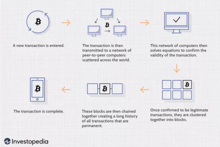 What you Need to Know about NFTs – The Basics |Star Anise